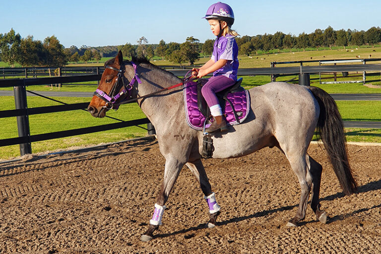 Horserail is the safest choice for arena fencing as well as paddock fencing