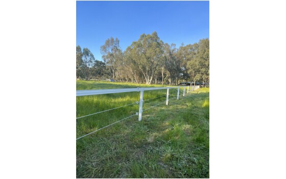 Stallion Rail Ultra (4 inch) photo review