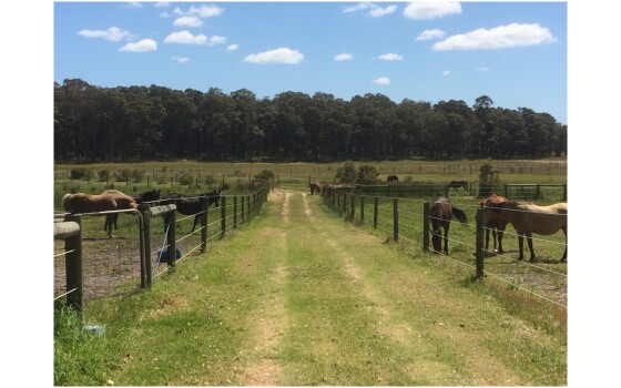 Shockcoat photo review