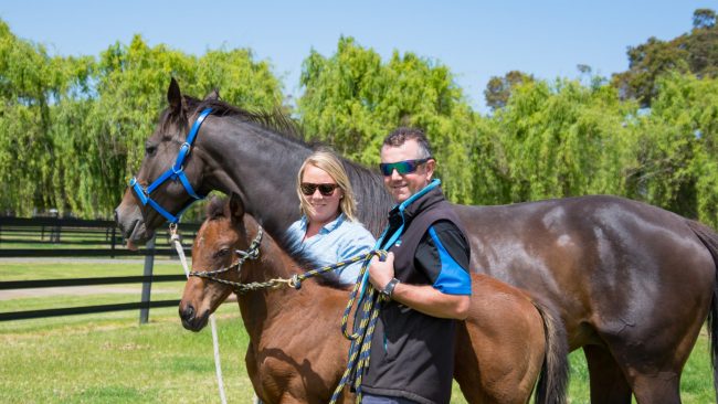 Duncan Equine Group horse rail fencing