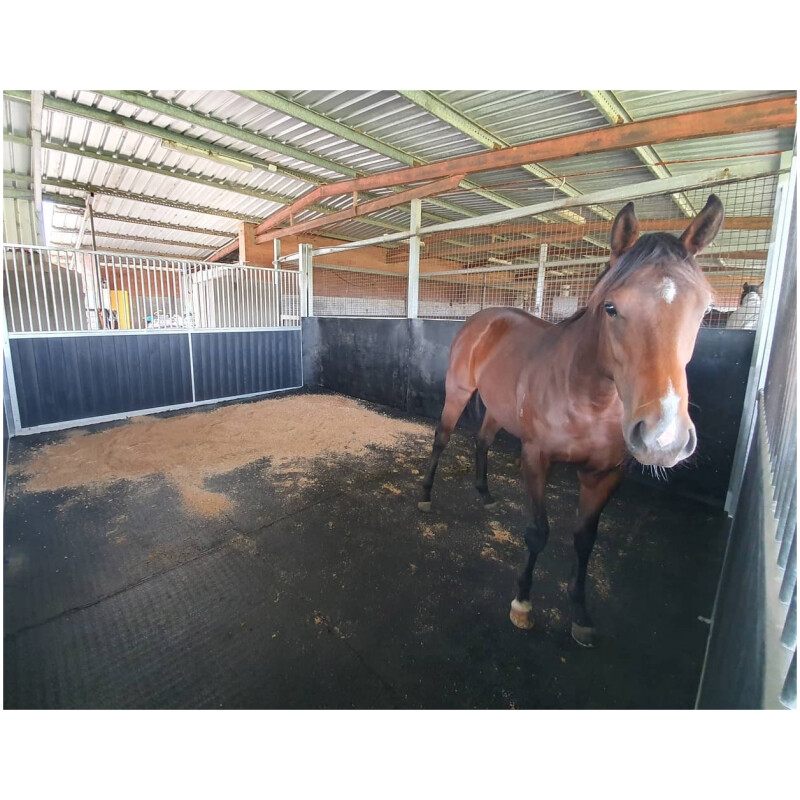 Protect your horse using high quality stable mats by Duncan Equine Group