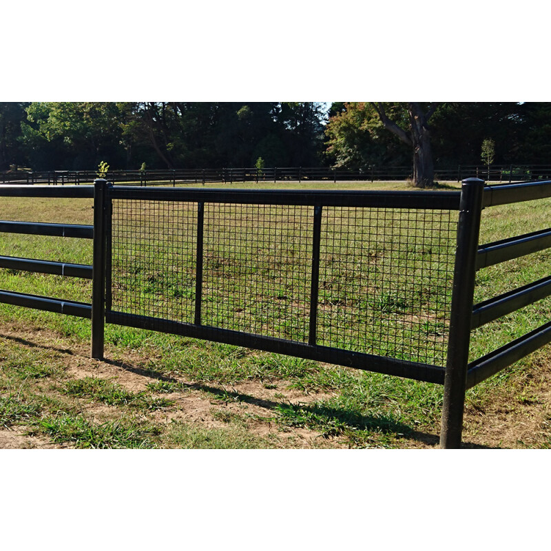 Heavy Duty Black Horse Safe Gate - Duncan Equine