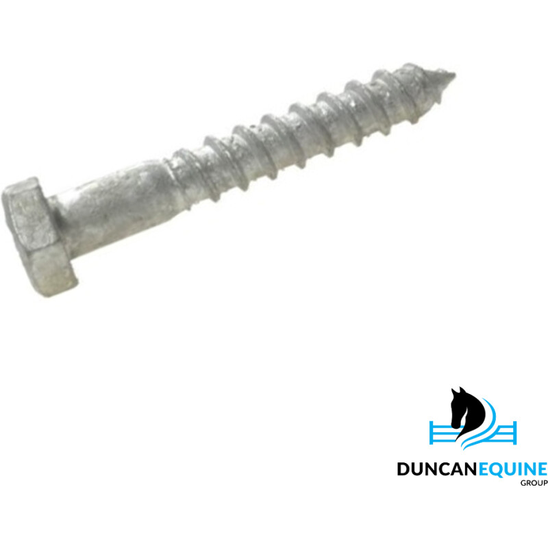 12mm Galvanised Coach Screws