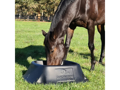 Mare happy with her Equine Feed Bin