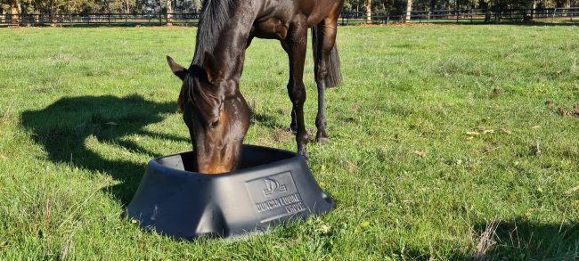 horse feed bins Archives - Duncan Equine Australia