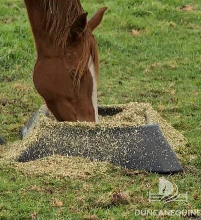 Equine Feed Bins that stand the test of time