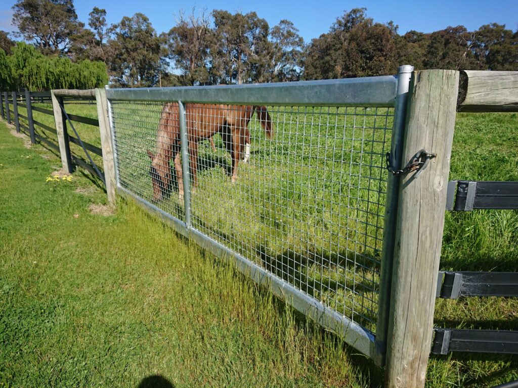 horse safe gates