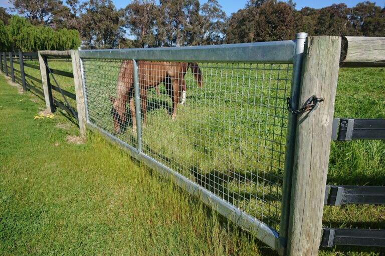 8T3DnRtw horse safe gates