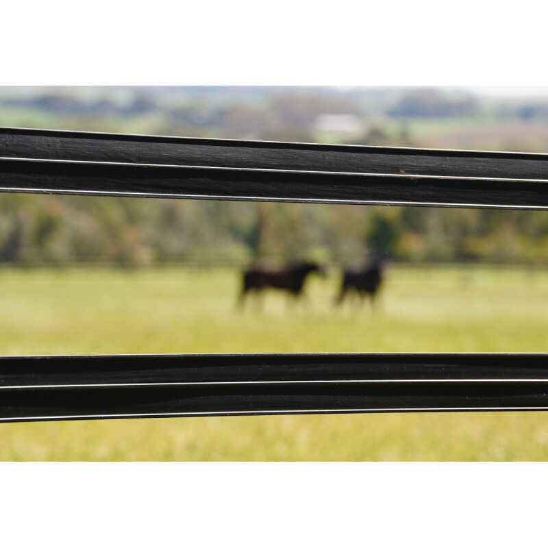 Stallion Rail 4 inch (Non Electric) - Image 3