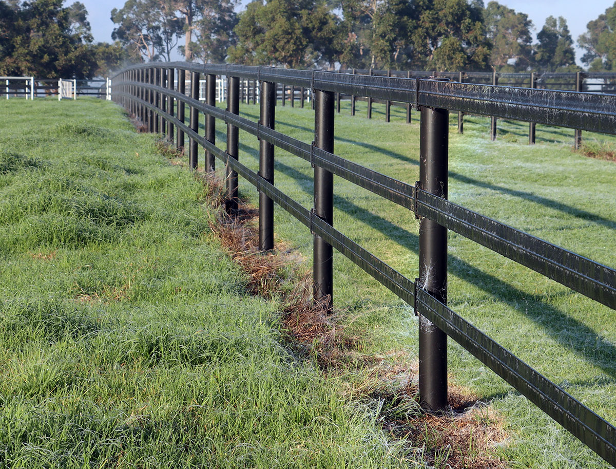 Stallion Rail Ultra the safest electric fencing for horses