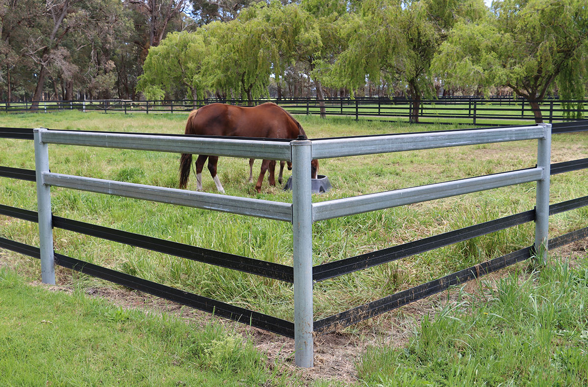 Horse Fencing Installation using Duncan Equine Group End Assembly