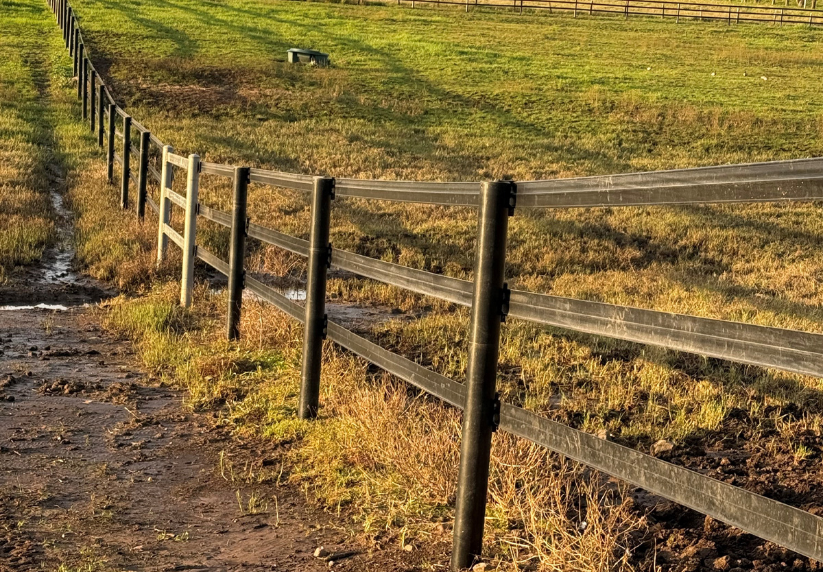 after-fencing-still-intact-stallion-rail