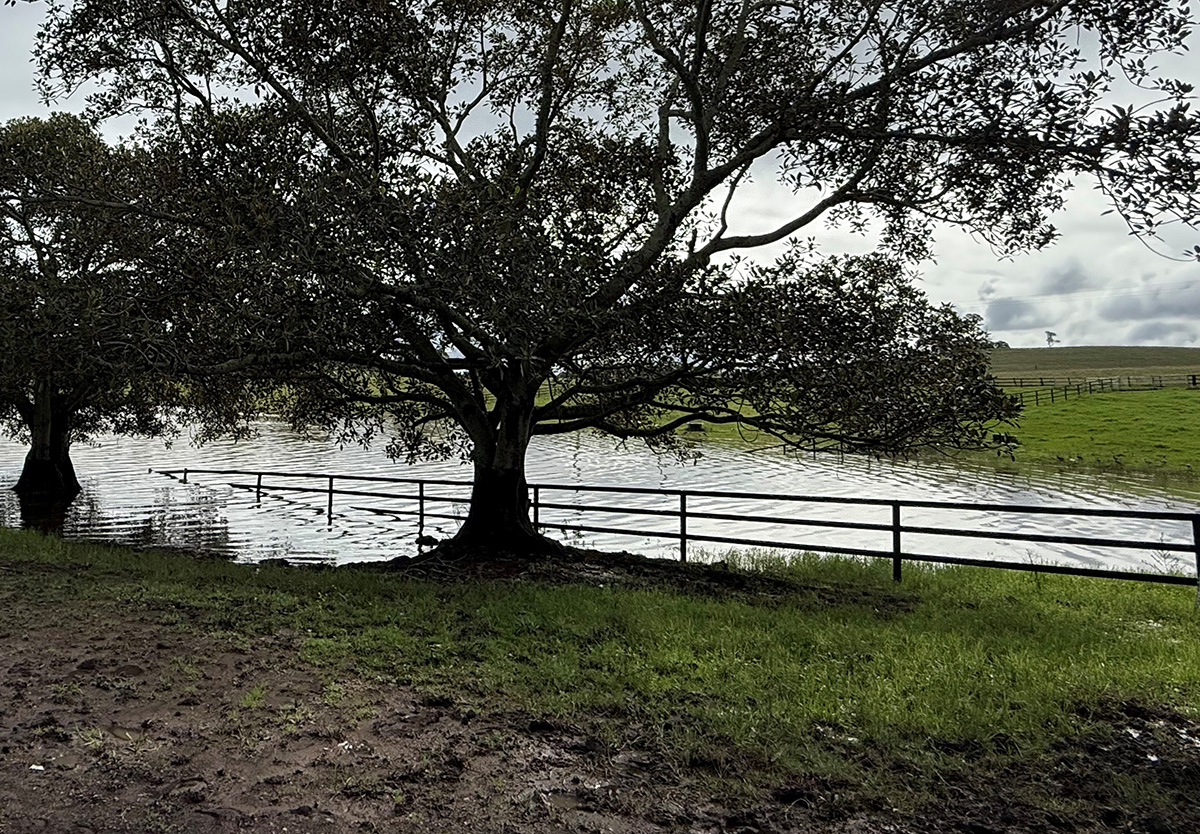 stallion-rail-flooding-before2