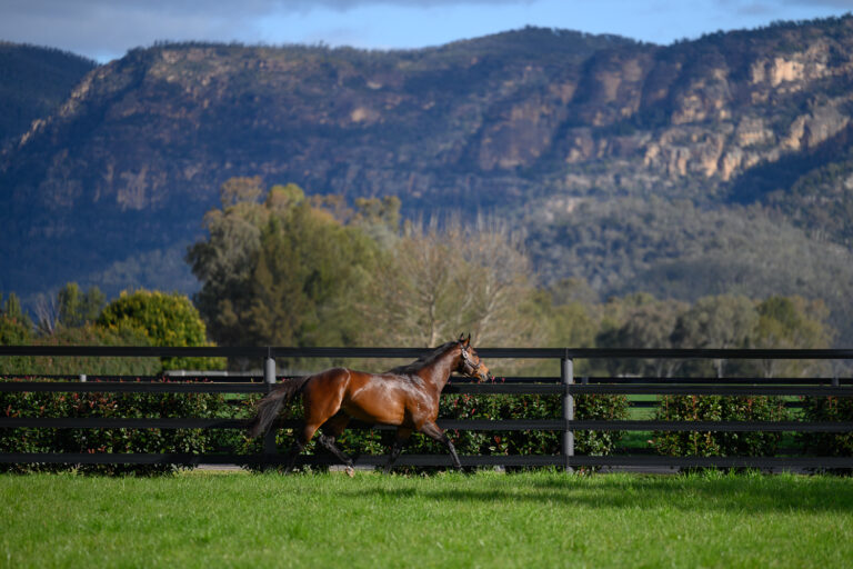 1 BACKDROP & FRONT COVER BOOK
