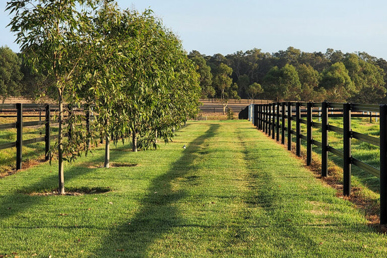 fencing-considerations