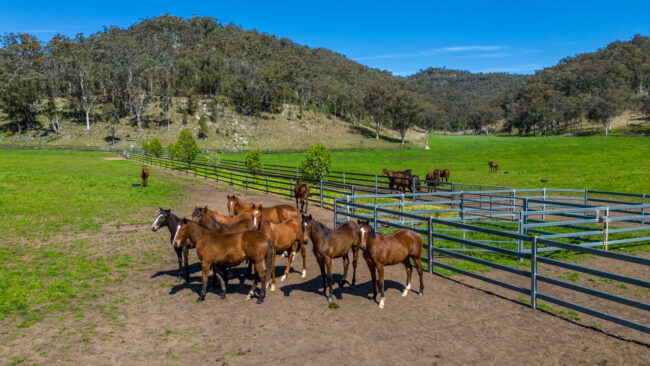 General, Farm, Aerials_19-09-22, Widden, Sharon Lee Chapman_0893