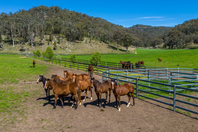 General, Farm, Aerials_19-09-22, Widden, Sharon Lee Chapman_0893