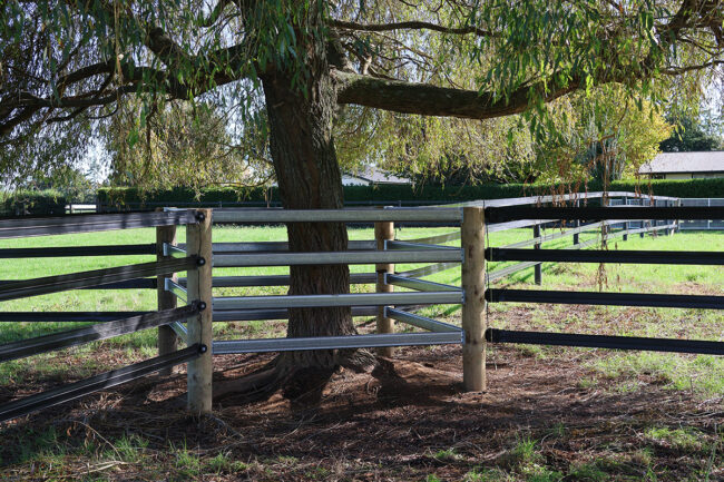 stallion-rail-around-trees