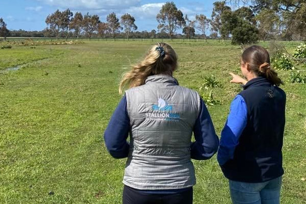 horse-fencing-planning